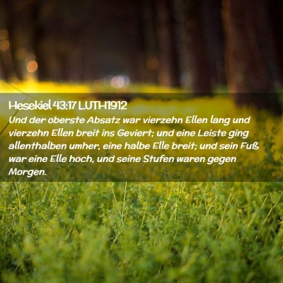 Picture 02 - Hesekiel 43:17 LUTH1912 - Und der oberste Absatz war vierzehn Ellen lang - Bible Verse Picture