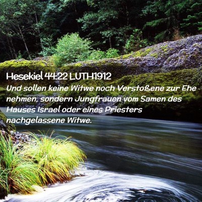 Picture 02 - Hesekiel 44:22 LUTH1912 - Und sollen keine Witwe noch Verstoßene zur Ehe - Bible Verse Picture