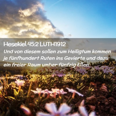 Picture 02 - Hesekiel 45:2 LUTH1912 - Und von diesem sollen zum Heiligtum kommen je - Bible Verse Picture