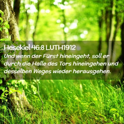 Picture 02 - Hesekiel 46:8 LUTH1912 - Und wenn der Fürst hineingeht, soll er durch die - Bible Verse Picture