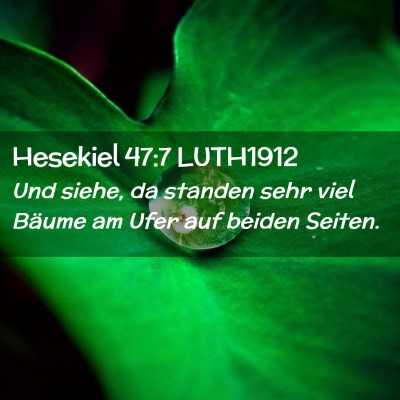 Picture 02 - Hesekiel 47:7 LUTH1912 - Und siehe, da standen sehr viel Bäume am Ufer - Bible Verse Picture