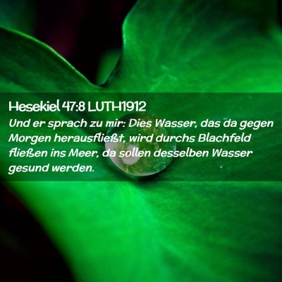 Picture 02 - Hesekiel 47:8 LUTH1912 - Und er sprach zu mir: Dies Wasser, das da gegen - Bible Verse Picture
