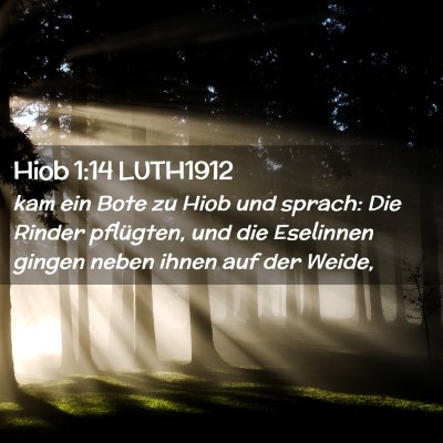 Picture 02 - Hiob 1:14 LUTH1912 - kam ein Bote zu Hiob und sprach: Die Rinder - Bible Verse Picture