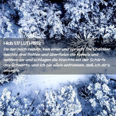 Picture 02 - Hiob 1:17 LUTH1912 - Da der noch redete, kam einer und sprach: Die - Bible Verse Picture