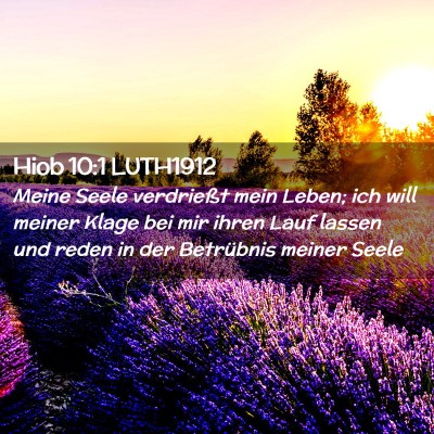 Picture 02 - Hiob 10:1 LUTH1912 - Meine Seele verdrießt mein Leben; ich will - Bible Verse Picture