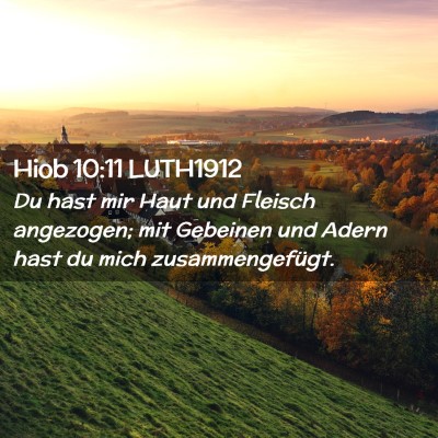 Picture 02 - Hiob 10:11 LUTH1912 - Du hast mir Haut und Fleisch angezogen; mit - Bible Verse Picture