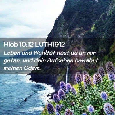 Picture 02 - Hiob 10:12 LUTH1912 - Leben und Wohltat hast du an mir getan, und dein - Bible Verse Picture