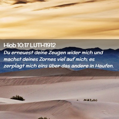 Picture 02 - Hiob 10:17 LUTH1912 - Du erneuest deine Zeugen wider mich und machst - Bible Verse Picture