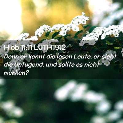 Picture 02 - Hiob 11:11 LUTH1912 - Denn er kennt die losen Leute, er sieht die - Bible Verse Picture