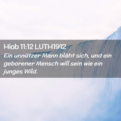 Picture 02 - Hiob 11:12 LUTH1912 - Ein unnützer Mann bläht sich, und ein geborener - Bible Verse Picture