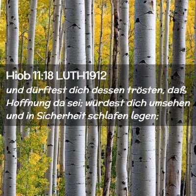 Picture 02 - Hiob 11:18 LUTH1912 - und dürftest dich dessen trösten, daß Hoffnung - Bible Verse Picture