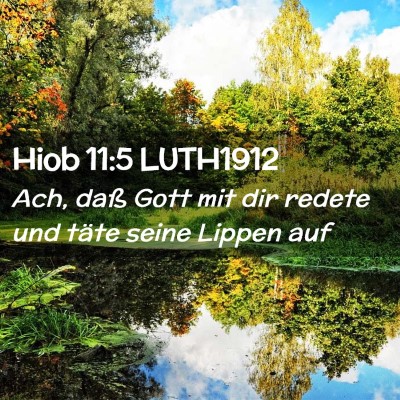 Picture 02 - Hiob 11:5 LUTH1912 - Ach, daß Gott mit dir redete und täte seine - Bible Verse Picture