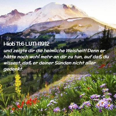 Picture 02 - Hiob 11:6 LUTH1912 - und zeigte dir die heimliche Weisheit! Denn er - Bible Verse Picture
