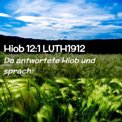 Picture 02 - Hiob 12:1 LUTH1912 - Da antwortete Hiob und - Bible Verse Picture