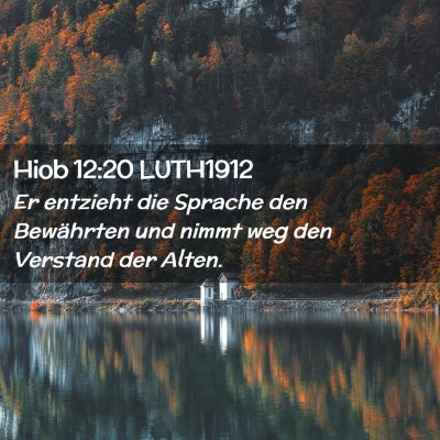 Picture 02 - Hiob 12:20 LUTH1912 - Er entzieht die Sprache den Bewährten und nimmt - Bible Verse Picture