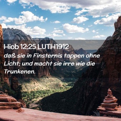 Picture 02 - Hiob 12:25 LUTH1912 - daß sie in Finsternis tappen ohne Licht; und - Bible Verse Picture