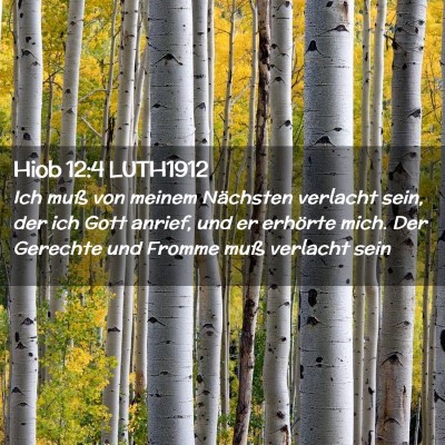 Picture 02 - Hiob 12:4 LUTH1912 - Ich muß von meinem Nächsten verlacht sein, der - Bible Verse Picture