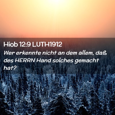 Picture 02 - Hiob 12:9 LUTH1912 - Wer erkennte nicht an dem allem, daß des HERRN - Bible Verse Picture
