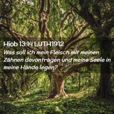 Picture 02 - Hiob 13:14 LUTH1912 - Was soll ich mein Fleisch mit meinen Zähnen - Bible Verse Picture