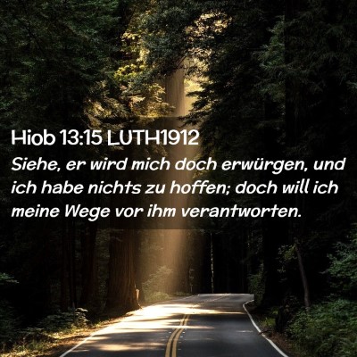 Picture 02 - Hiob 13:15 LUTH1912 - Siehe, er wird mich doch erwürgen, und ich habe - Bible Verse Picture