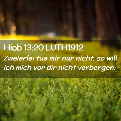 Picture 02 - Hiob 13:20 LUTH1912 - Zweierlei tue mir nur nicht, so will ich mich vor - Bible Verse Picture