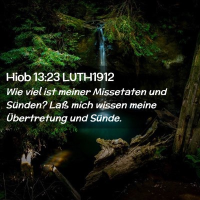 Picture 02 - Hiob 13:23 LUTH1912 - Wie viel ist meiner Missetaten und Sünden? Laß - Bible Verse Picture