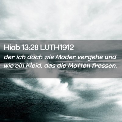 Picture 02 - Hiob 13:28 LUTH1912 - der ich doch wie Moder vergehe und wie ein Kleid, - Bible Verse Picture