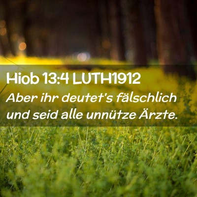 Picture 02 - Hiob 13:4 LUTH1912 - Aber ihr deutet's fälschlich und seid alle - Bible Verse Picture