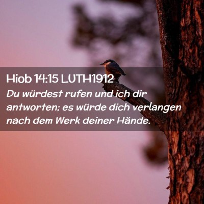 Picture 02 - Hiob 14:15 LUTH1912 - Du würdest rufen und ich dir antworten; es - Bible Verse Picture