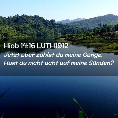 Picture 02 - Hiob 14:16 LUTH1912 - Jetzt aber zählst du meine Gänge. Hast du nicht - Bible Verse Picture