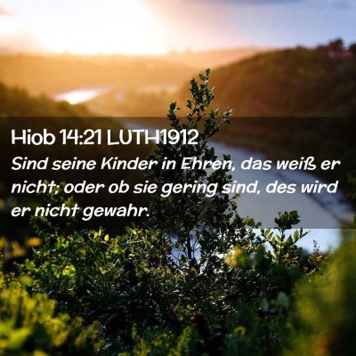 Picture 02 - Hiob 14:21 LUTH1912 - Sind seine Kinder in Ehren, das weiß er nicht; - Bible Verse Picture