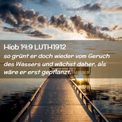 Picture 02 - Hiob 14:9 LUTH1912 - so grünt er doch wieder vom Geruch des Wassers - Bible Verse Picture