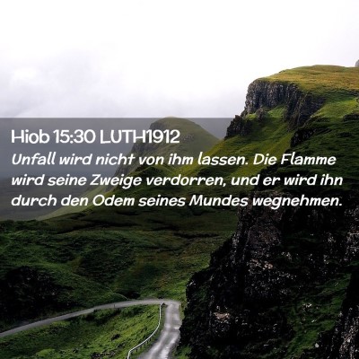 Picture 02 - Hiob 15:30 LUTH1912 - Unfall wird nicht von ihm lassen. Die Flamme wird - Bible Verse Picture