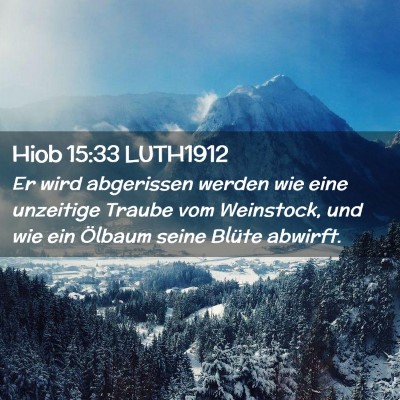Picture 02 - Hiob 15:33 LUTH1912 - Er wird abgerissen werden wie eine unzeitige - Bible Verse Picture