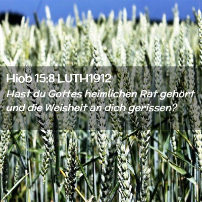 Picture 02 - Hiob 15:8 LUTH1912 - Hast du Gottes heimlichen Rat gehört und die - Bible Verse Picture