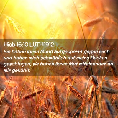 Picture 02 - Hiob 16:10 LUTH1912 - Sie haben ihren Mund aufgesperrt gegen mich und - Bible Verse Picture