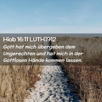 Picture 02 - Hiob 16:11 LUTH1912 - Gott hat mich übergeben dem Ungerechten und hat - Bible Verse Picture