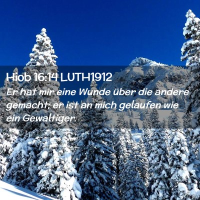 Picture 02 - Hiob 16:14 LUTH1912 - Er hat mir eine Wunde über die andere gemacht; - Bible Verse Picture