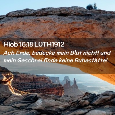 Picture 02 - Hiob 16:18 LUTH1912 - Ach Erde, bedecke mein Blut nicht! und mein - Bible Verse Picture