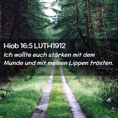 Picture 02 - Hiob 16:5 LUTH1912 - Ich wollte euch stärken mit dem Munde und mit - Bible Verse Picture
