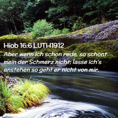 Picture 02 - Hiob 16:6 LUTH1912 - Aber wenn ich schon rede, so schont mein der - Bible Verse Picture