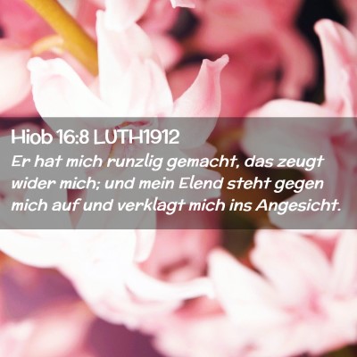 Picture 02 - Hiob 16:8 LUTH1912 - Er hat mich runzlig gemacht, das zeugt wider - Bible Verse Picture