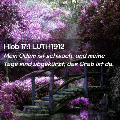 Picture 02 - Hiob 17:1 LUTH1912 - Mein Odem ist schwach, und meine Tage sind - Bible Verse Picture