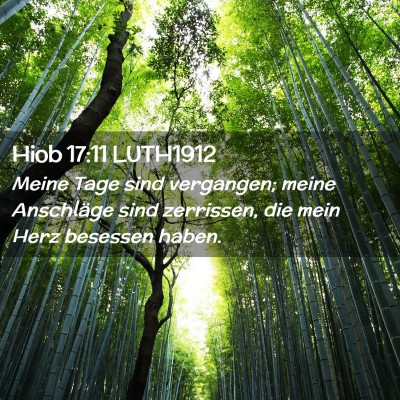 Picture 02 - Hiob 17:11 LUTH1912 - Meine Tage sind vergangen; meine Anschläge sind - Bible Verse Picture