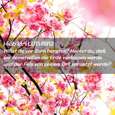 Picture 02 - Hiob 18:4 LUTH1912 - Willst du vor Zorn bersten? Meinst du, daß um - Bible Verse Picture
