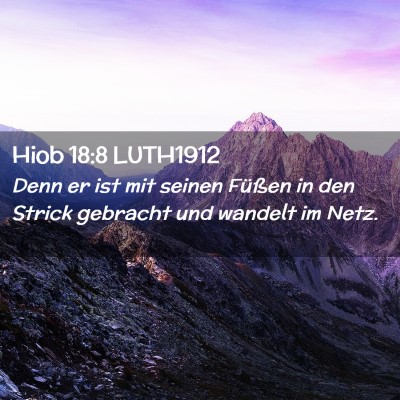 Picture 02 - Hiob 18:8 LUTH1912 - Denn er ist mit seinen Füßen in den Strick - Bible Verse Picture