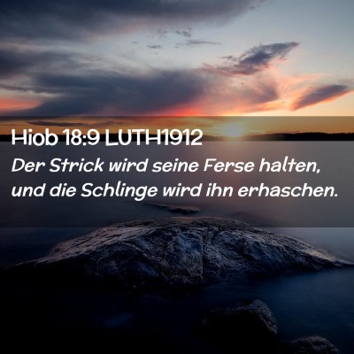 Picture 02 - Hiob 18:9 LUTH1912 - Der Strick wird seine Ferse halten, und die - Bible Verse Picture