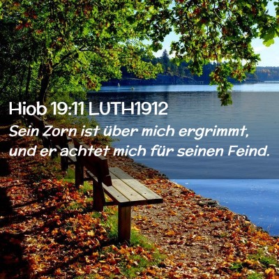 Picture 02 - Hiob 19:11 LUTH1912 - Sein Zorn ist über mich ergrimmt, und er achtet - Bible Verse Picture