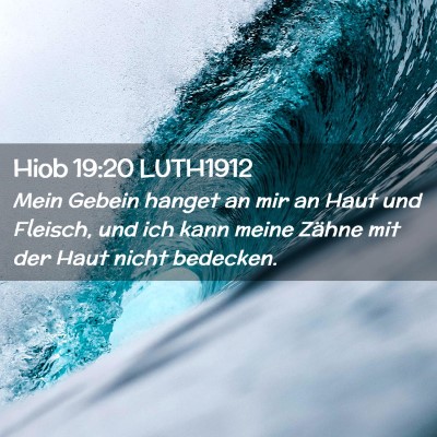 Picture 02 - Hiob 19:20 LUTH1912 - Mein Gebein hanget an mir an Haut und Fleisch, - Bible Verse Picture