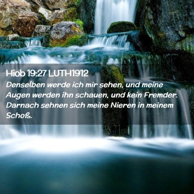 Picture 02 - Hiob 19:27 LUTH1912 - Denselben werde ich mir sehen, und meine Augen - Bible Verse Picture